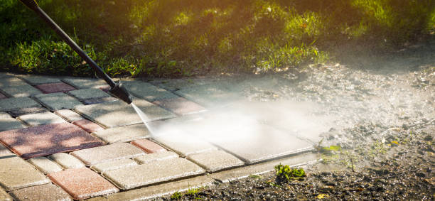 Best Fence Cleaning and Maintenance in Mikes, TX